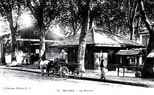 MILIANA - MARCHE